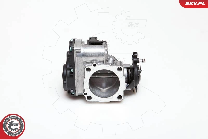 Throttle Body